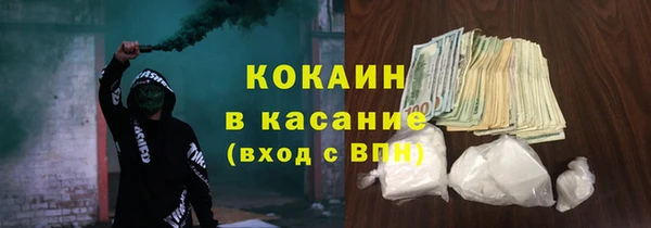 бошки Алексин