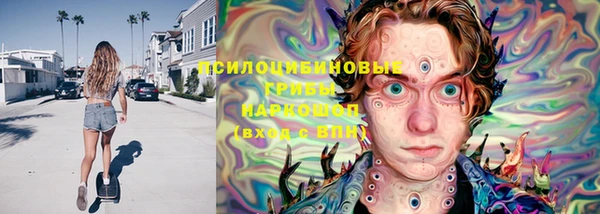 бошки Алексин
