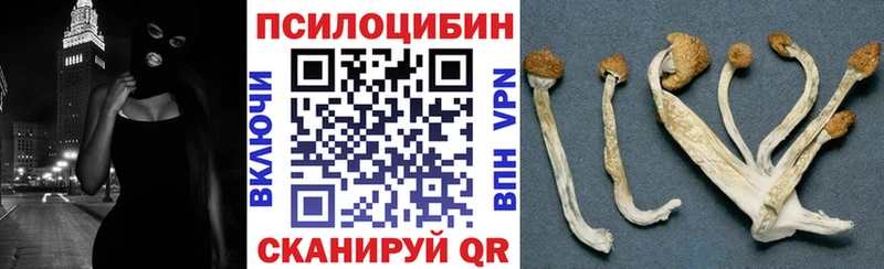 Псилоцибиновые грибы MAGIC MUSHROOMS  Закаменск 