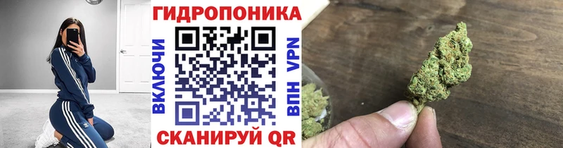 Каннабис индика  даркнет сайт  Закаменск 